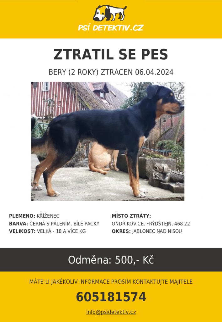 Zaběhlý pes