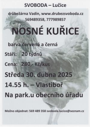 Nosné kuřice